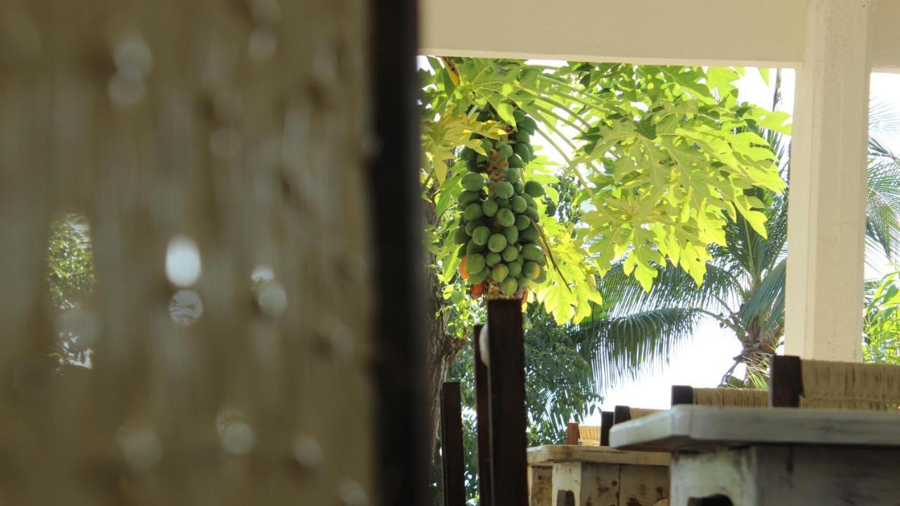 Casa De La Gente Nube Otel Puerto Escondido  Dış mekan fotoğraf